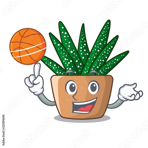 With basketball mini zebra cactus on cartoon pot