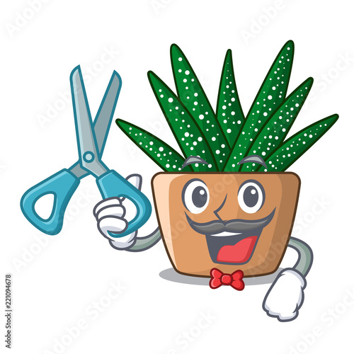 Barber mini zebra cactus on cartoon pot