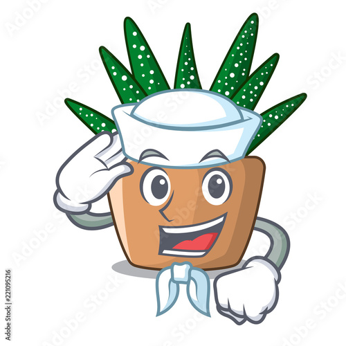 Sailor mini zebra cactus on cartoon pot