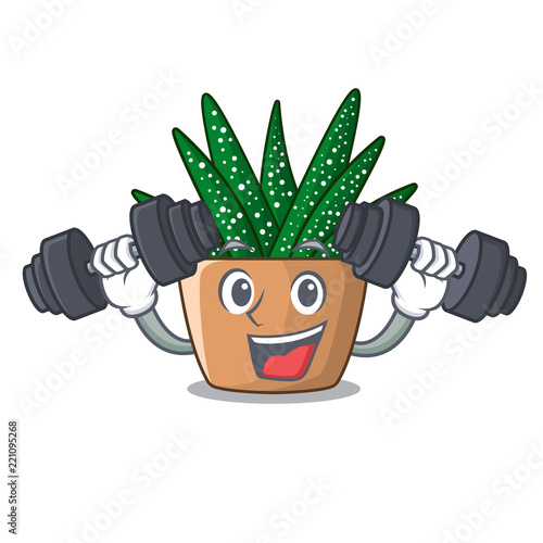 Fitness mini zebra cactus on cartoon pot