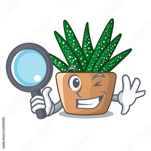 Detective character small zebra cactus plant on pot
