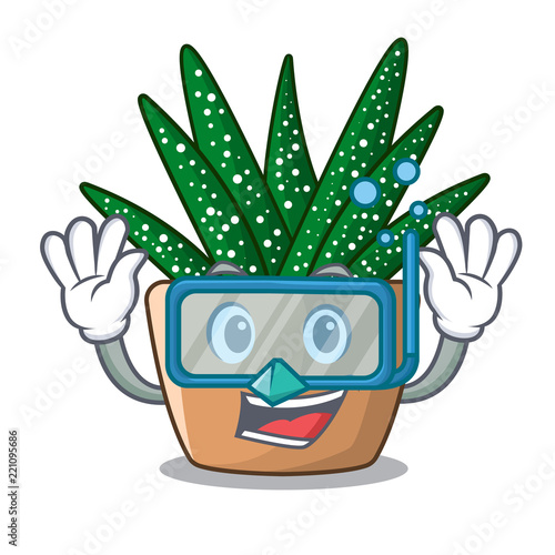 Diving character small zebra cactus plant on pot