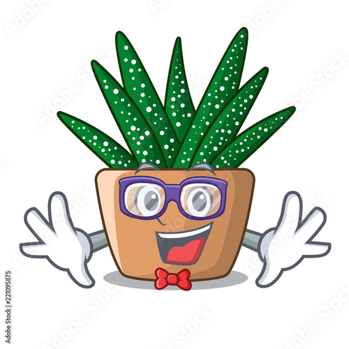 Geek character small zebra cactus plant on pot