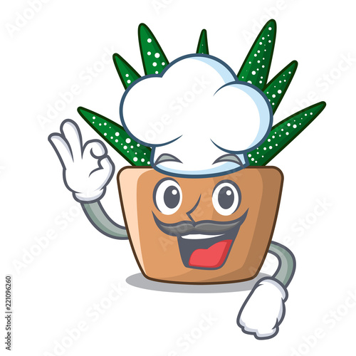 Chef character small zebra cactus plant on pot