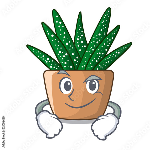 Smirking character small zebra cactus plant on pot
