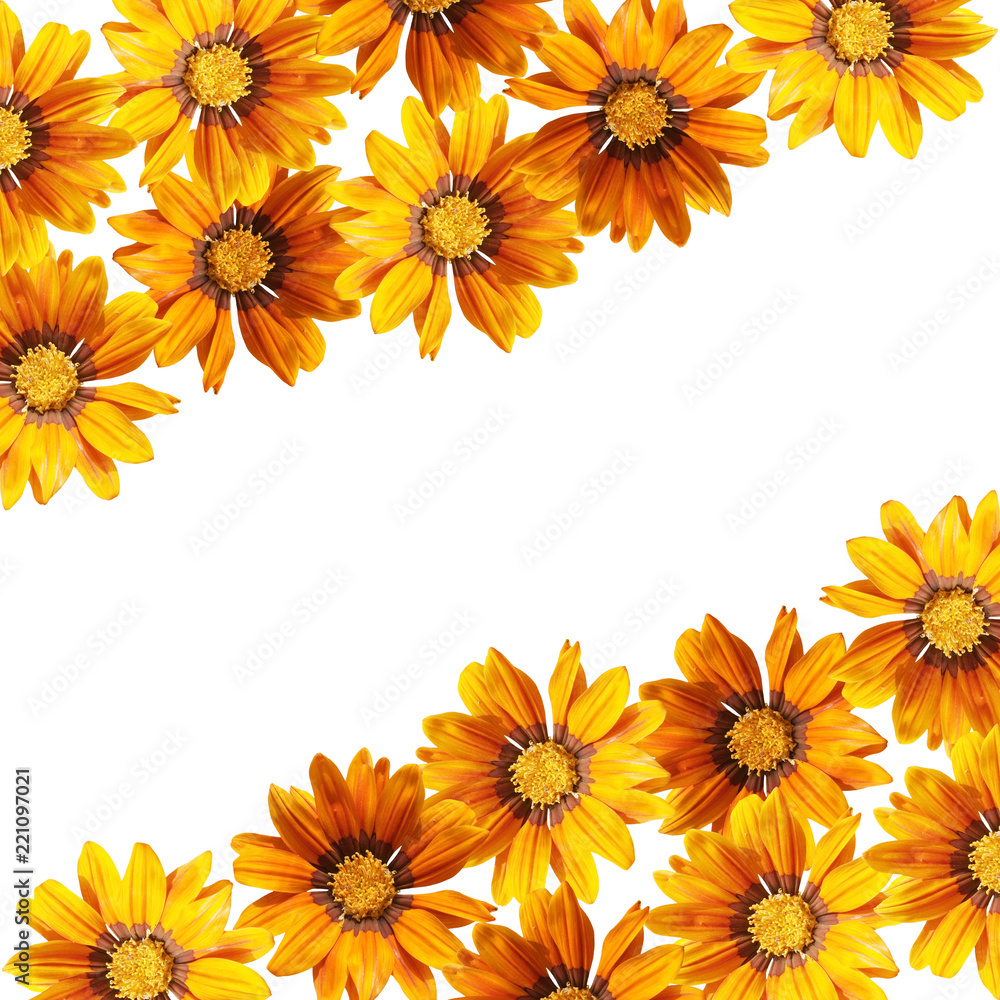 Beautiful floral background of yellow flowers 