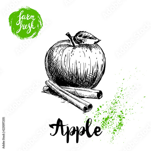 Hand drawn sketch apple with leaf and cinnamon sticks poster. Vitamin and healthy farm fresh fruit vector illustration isolated on white background.