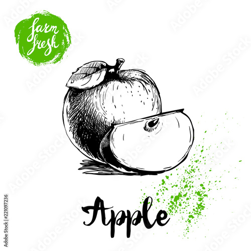 Hand drawn sketch apple with leaf and cut of apple poster. Vitamin and healthy farm fresh fruit vector illustration isolated on white background.