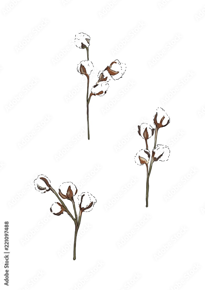 植物 植物