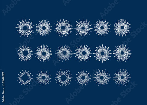 Sparkle lights stars set. Bright firework, decoration twinkle, shiny flash