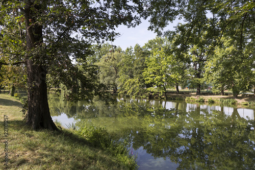 The largest Park in Prague – Stromovka - the Royal Tree-tree, Czech Republic