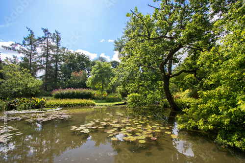 Idyllic picturesque countryside landscape. Beautiful pond on a summers day. Tree-lined still water with floating lily pads under a blue sky.
