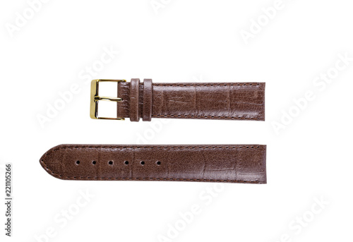 The watchstrap isolated