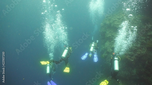 Scuba divers explores underwater coral reef and watching the fish.Scuba diver underwater in a tropical sea.Tropical fish on a coral reef. Diving and snorkeling in the tropical sea.