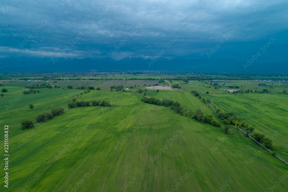Green field aerial view