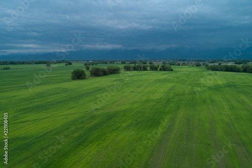 Fototapeta Naklejka Na Ścianę i Meble -  Green field aerial view