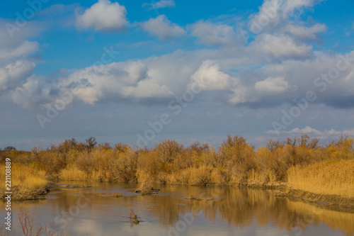 autumn landscape on the river