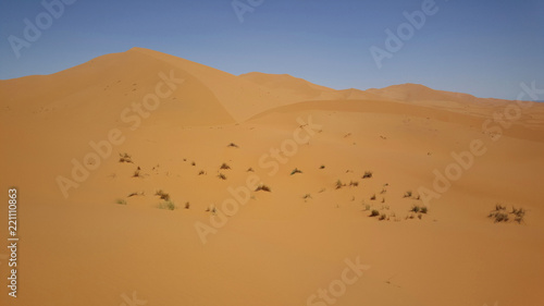The dunes of Erg Chebbi in Morocco