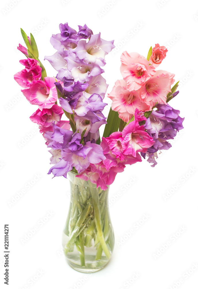 Beautiful bouquet pink fashionable gladiolus flower in a vase isolated on white background. Wedding bouquet of the bride