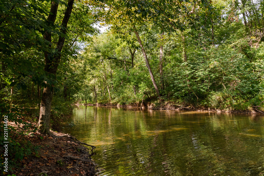Banks of the Shenandoah River Banks of the Shenandoah River
