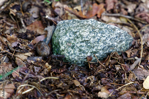 Decorative stone covered with fallen leaves in autumn.