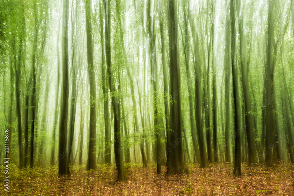 Fototapeta premium Experimental shaky forest image, intentionally blurred, multiple exposure