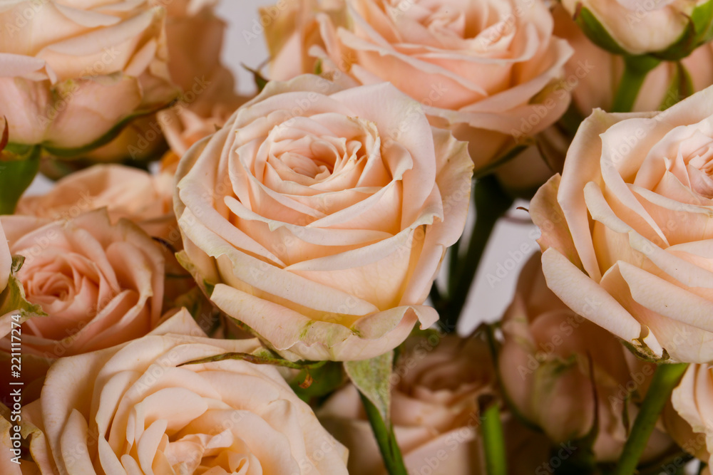 Pink roses bouquet Pink roses bouquet