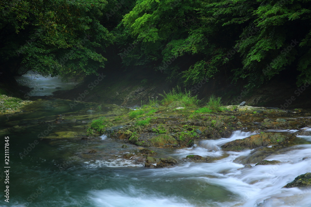 Obraz premium 夏の気仙大滝