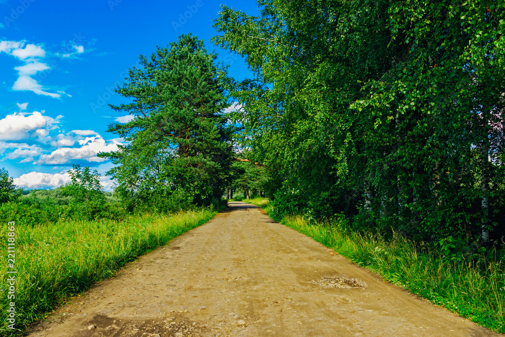 dirt road in the forest on a sunny summer day