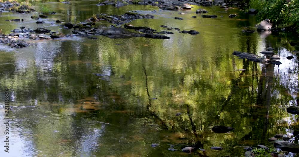 Video of the slow waters of Sandy Stream in Unity Maine in the summertime flowing over rocks with reflections of trees along the riverbank. Video of the slow waters of Sandy Stream in Unity Maine in the summertime flowing over rocks with reflections of trees along the riverbank.