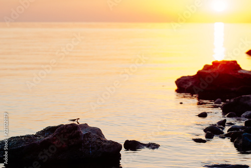 Seascape, dawn on the water