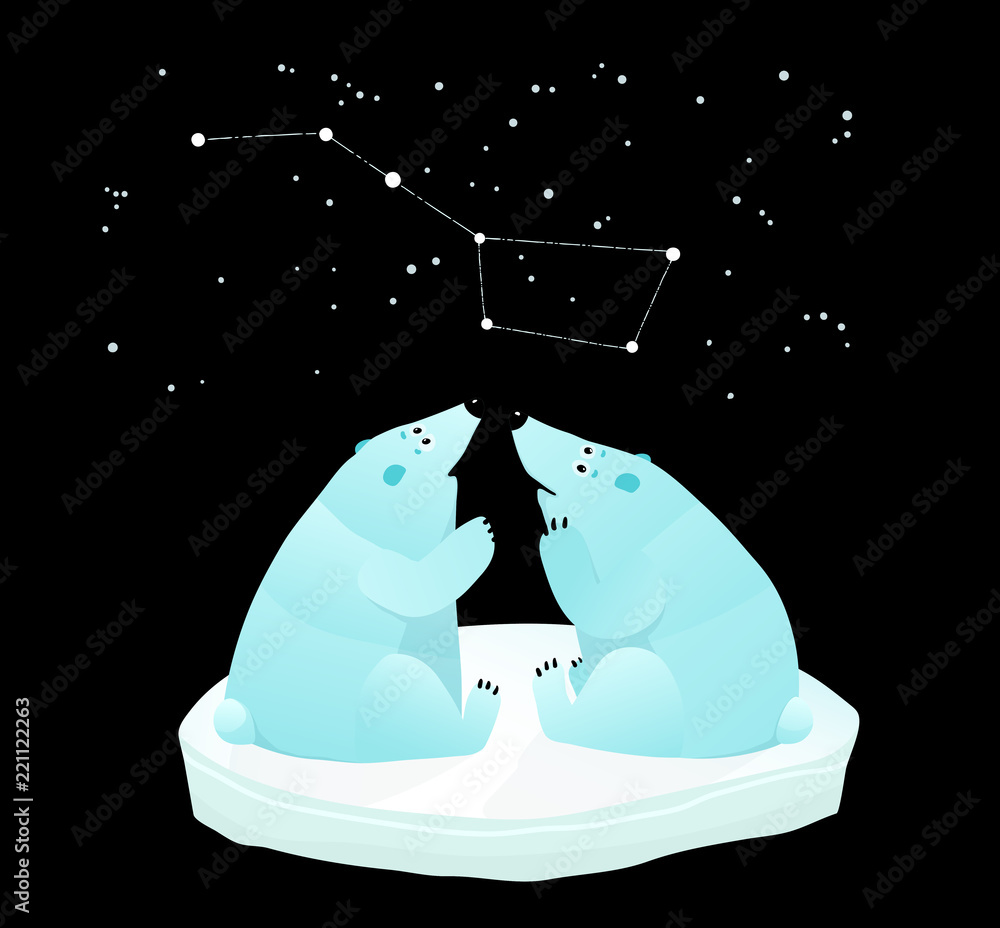 Obraz premium Constellation of the great bear and polar bears looking.