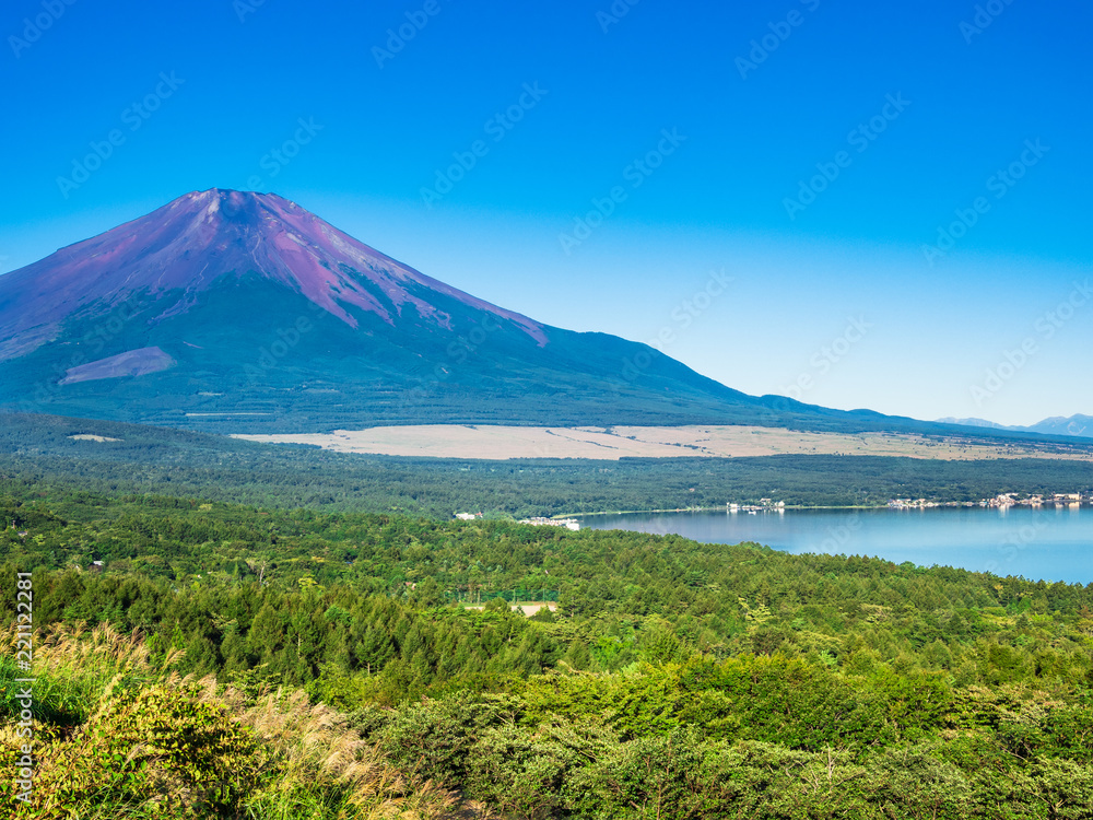 Fototapeta premium 山中湖畔から眺める富士山