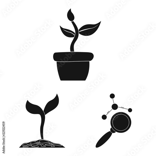Vector design of genetic and plant symbol. Collection of genetic and biotechnology stock vector illustration.