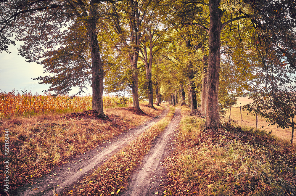 Picture of a scenic road in autumn, vintage toning applied.