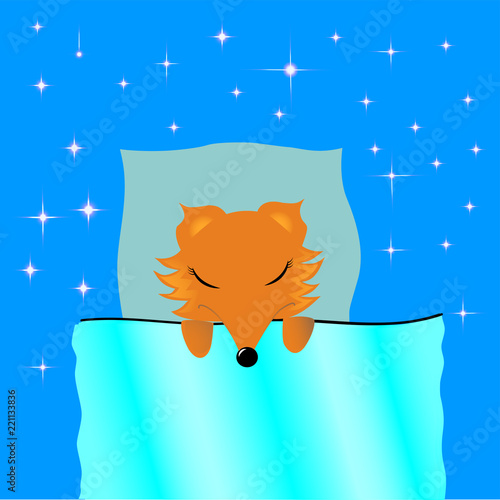 Foxy sleeps