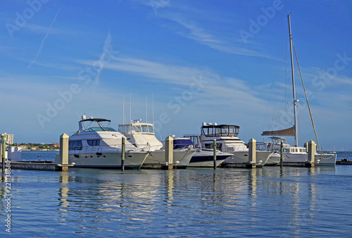 Clearwater Harbor Marina photo