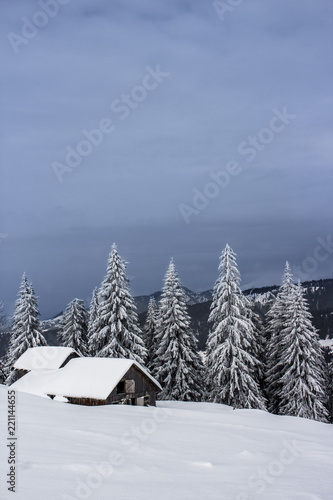 Winter wonderland © Ausrine