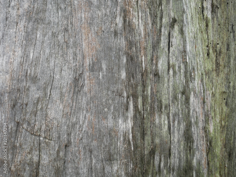Old wood background Old wood background