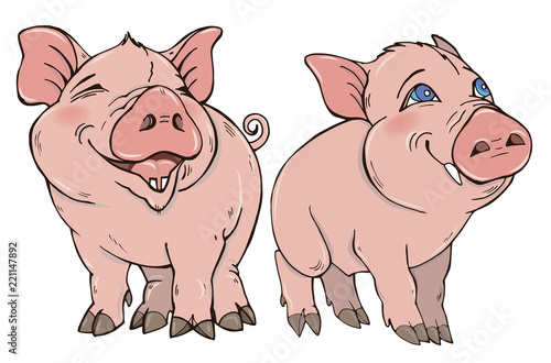 Two cute funny pig vector illustration on white background