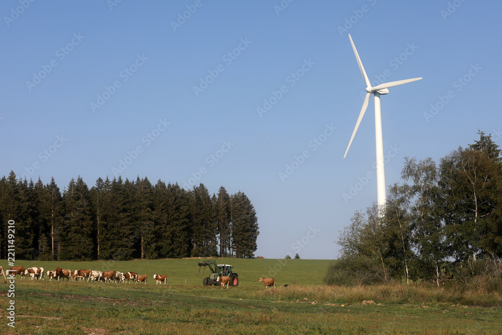 Fototapeta premium Windrad mit Wald und Wiese und Kühen