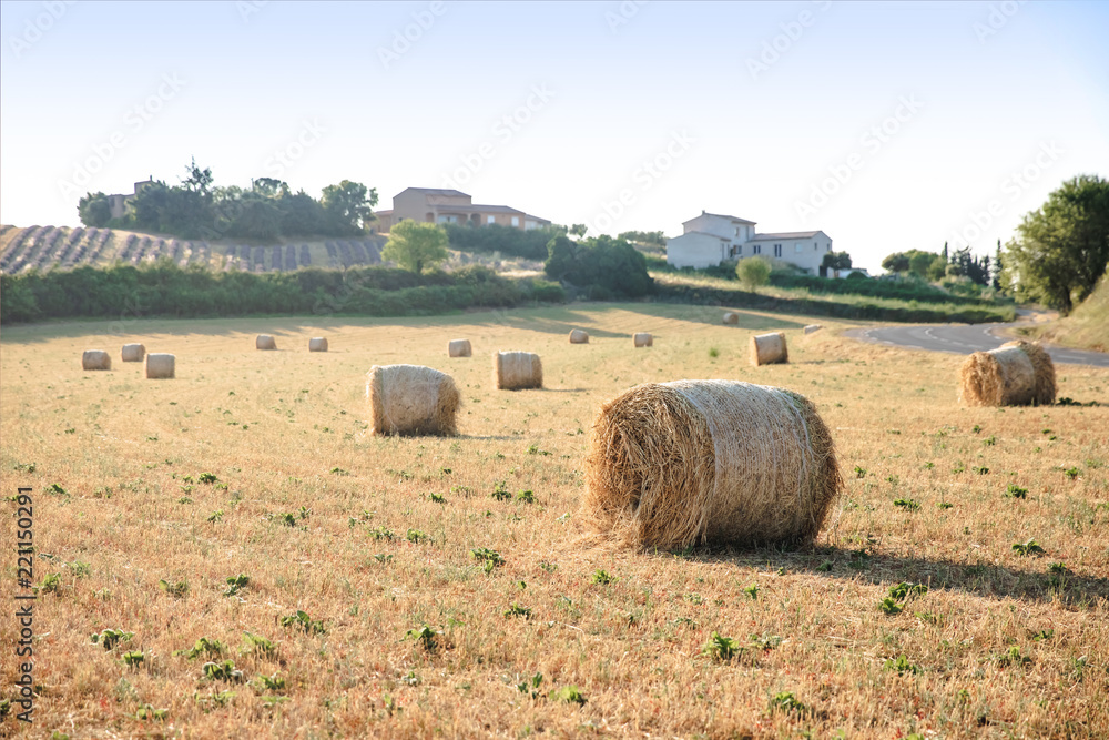 hay bales on beautiful agricultural field and farm in provence, france