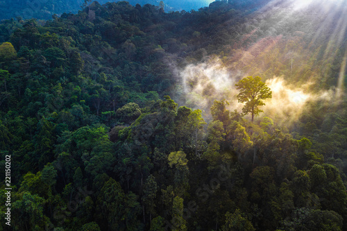 Magical sunrise in jungle aerial shot