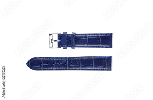 The watchstrap isolated