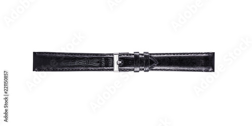 The watchstrap isolated
