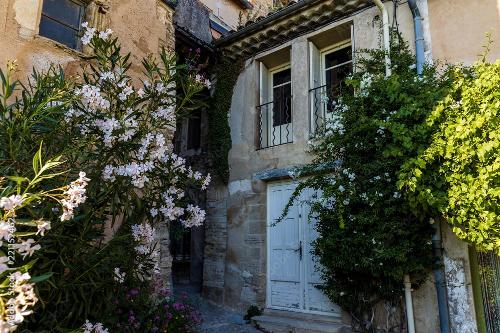 low angle view of beautiful traditional architecture and green plants with blooming flowers in provence, france