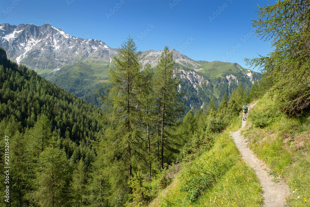 path crossing beautiful alpine mountain and forest under blue sky