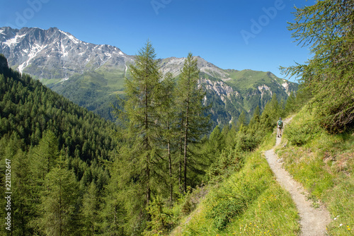 path crossing beautiful alpine mountain and forest under blue sky