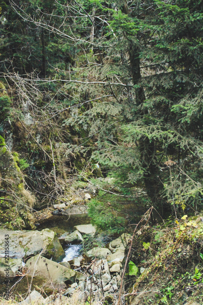 Autumn mountains Ukrainian Carpathian Mountains. Stone rocks and mountain river Autumn mountains Ukrainian Carpathian Mountains. Stone rocks and mountain river