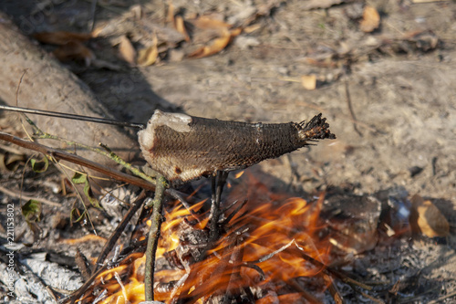 Roasting fish on fire in the nature